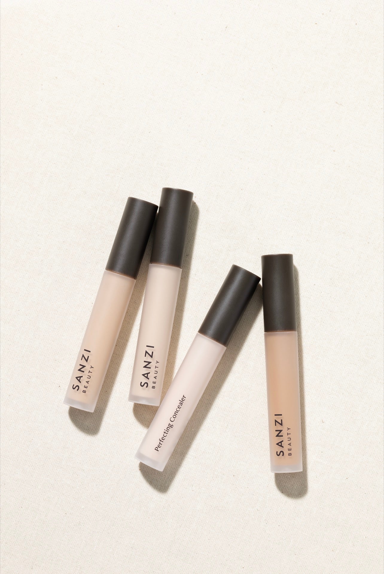 Sanzi Beauty Concealer