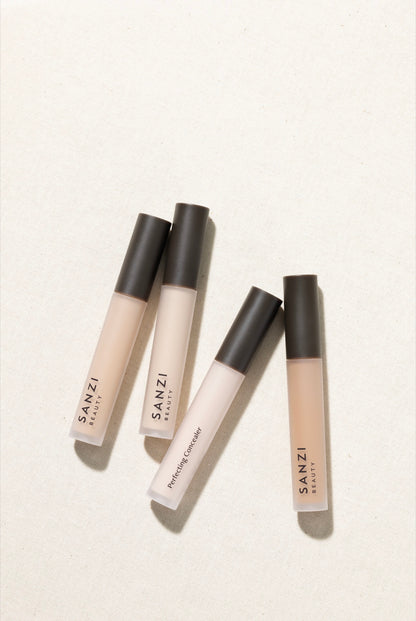 Sanzi Beauty Concealer